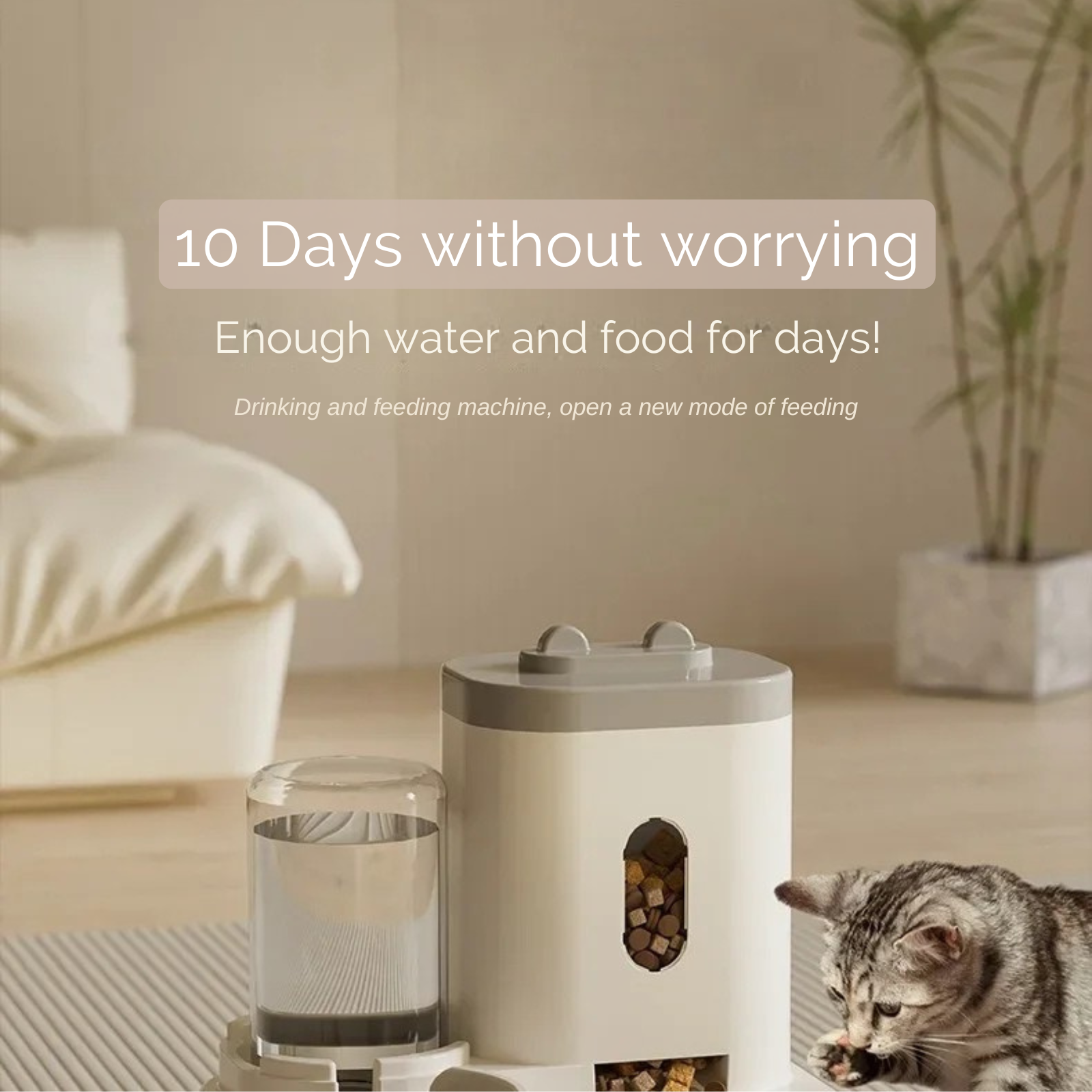 Automatic Water and Feeder for Pets