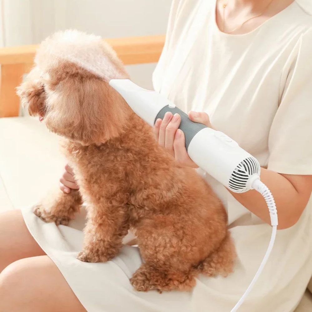 Pet Grooming Hair Dryer for Cats & Dogs