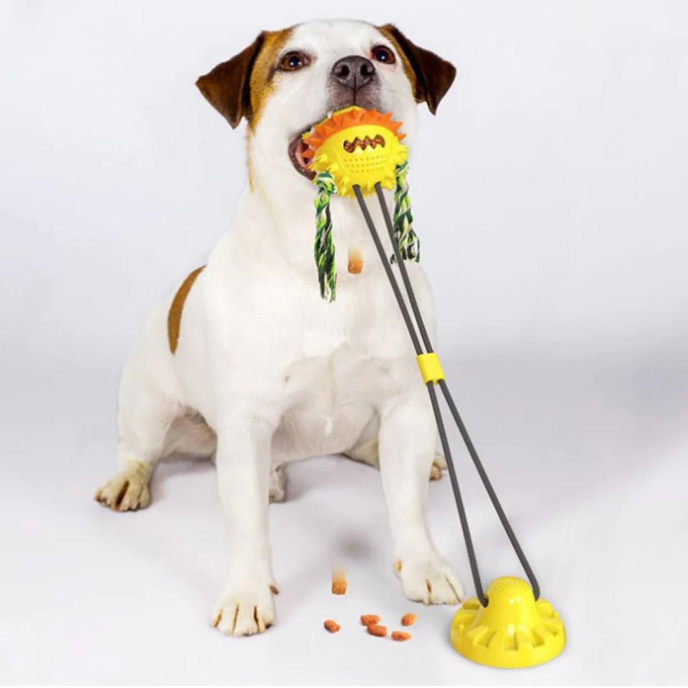 Smart Interactive Pet Toy