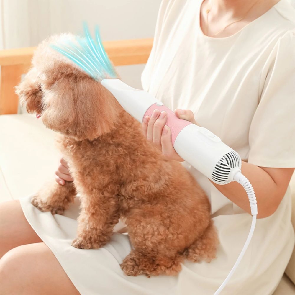 Pet Grooming Hair Dryer for Cats & Dogs