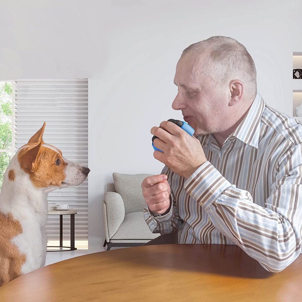 Interactive Pet Communication Buttons
