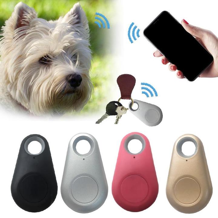 Compact Waterproof Pet GPS Tracker