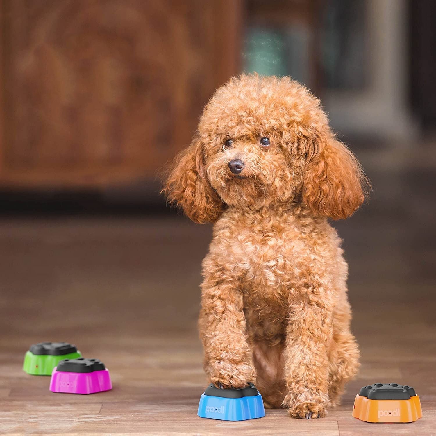 Interactive Pet Communication Buttons