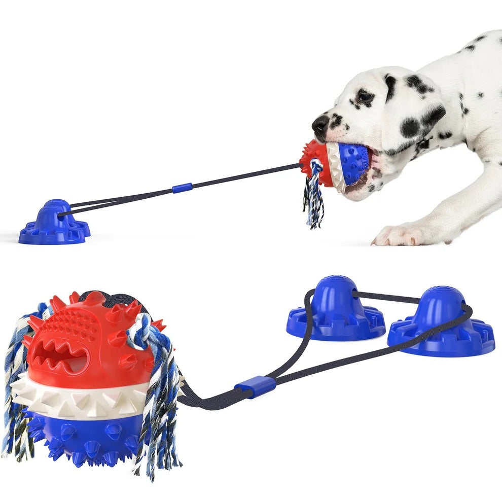 Smart Interactive Pet Toy